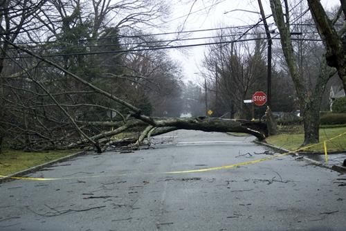 Cities-suffering-from-natural-disasters-consider-the-benefits-of-solar-power-16001137-33993-0-14079534-500-5a46573c9e8d8