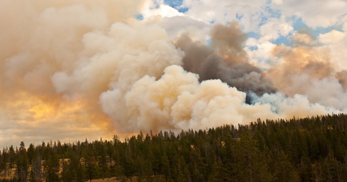 How To Maintain Your Solar Panels During WildfireSeason