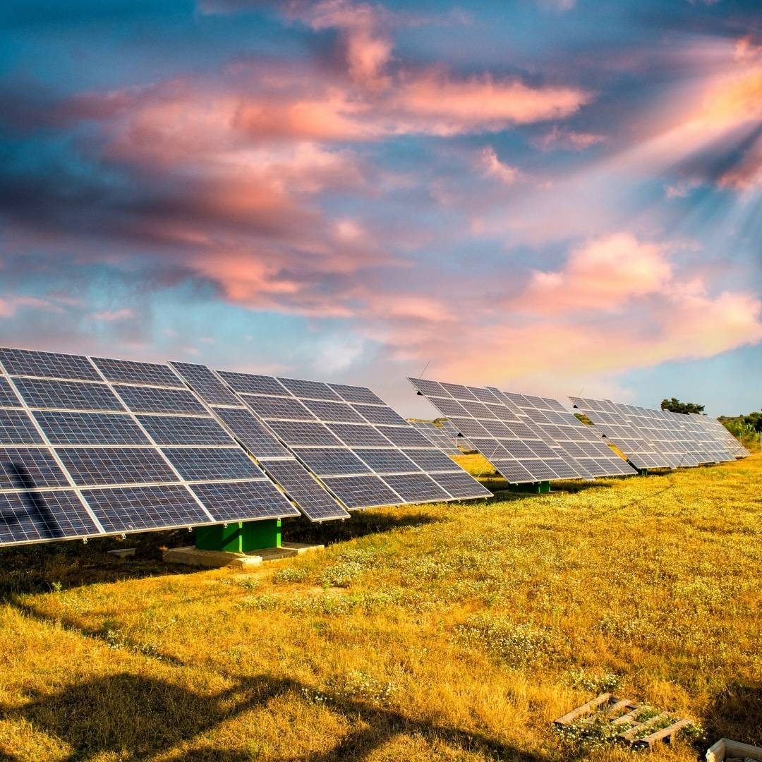 Solar panels in a grassy field