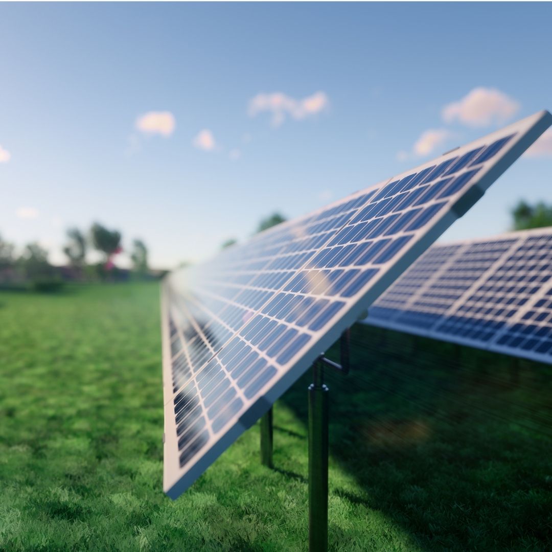 solar panels in a field