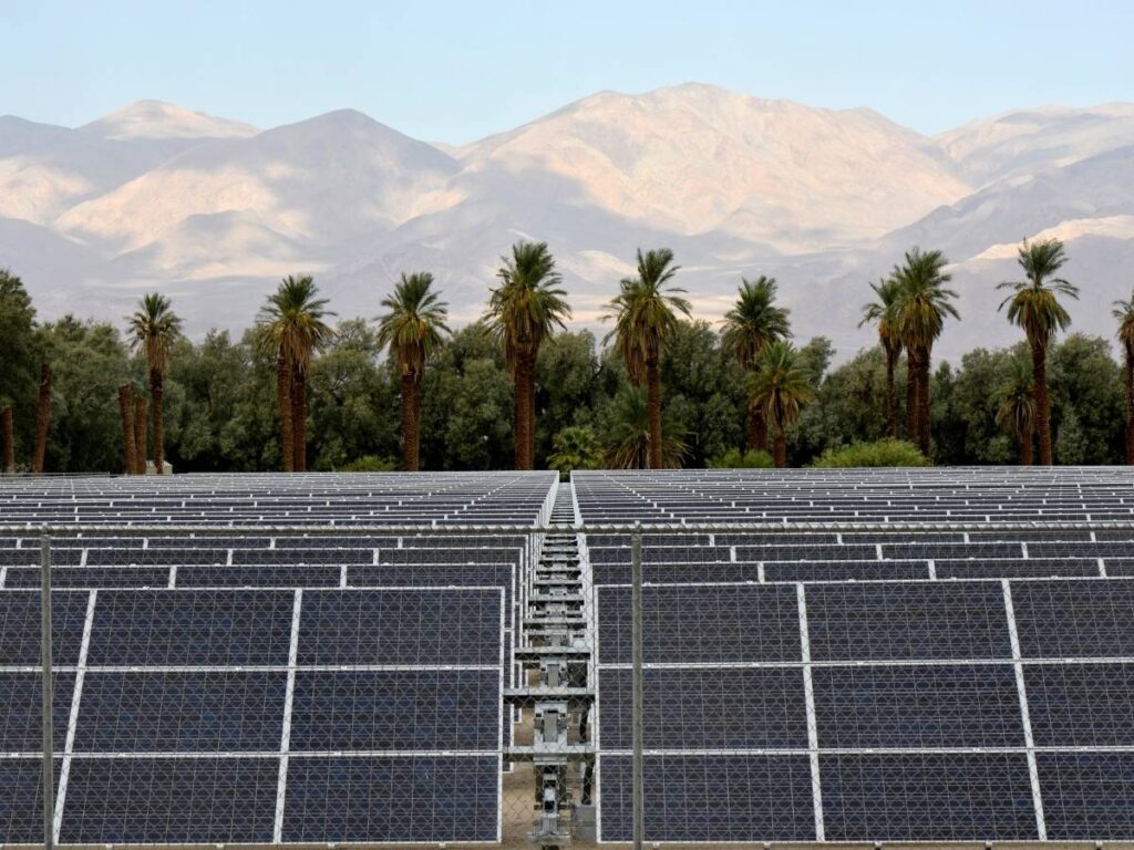 Solar panels in a field
