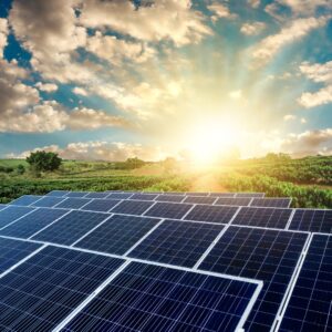 solar panels with the sun rising behind them