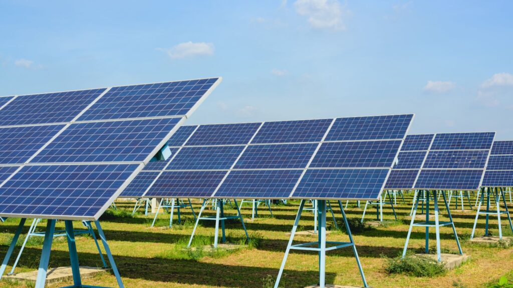 A field of solar panels