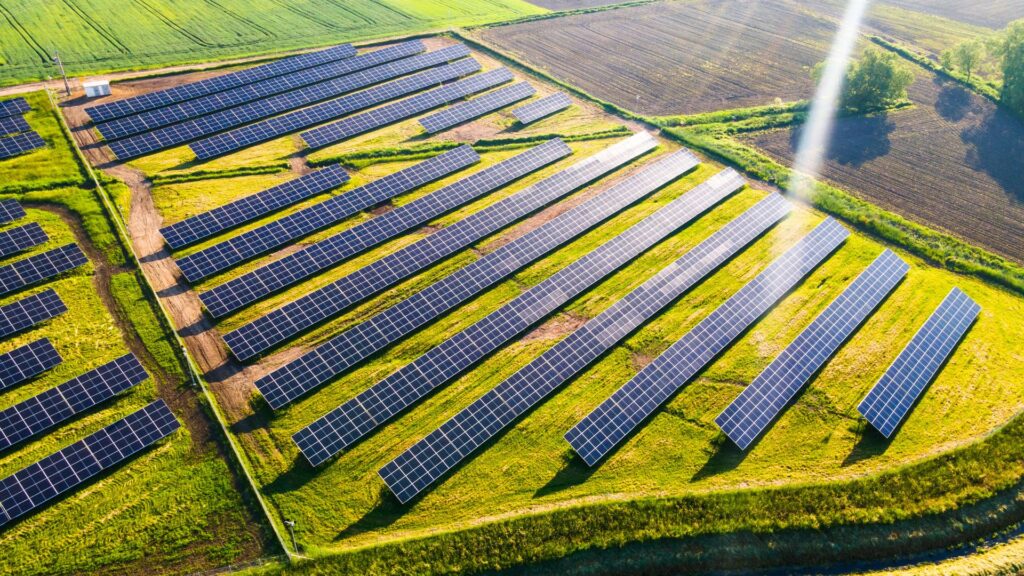 A field of solar panels