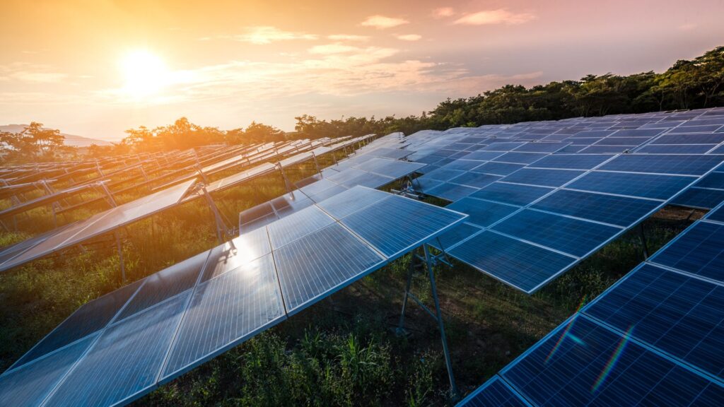 solar panels