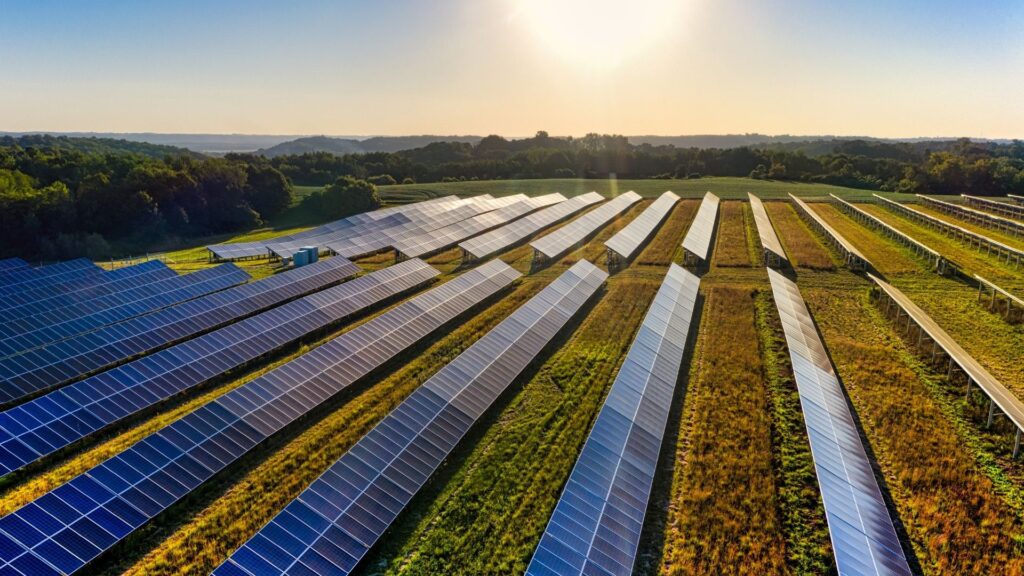 field of solar panels