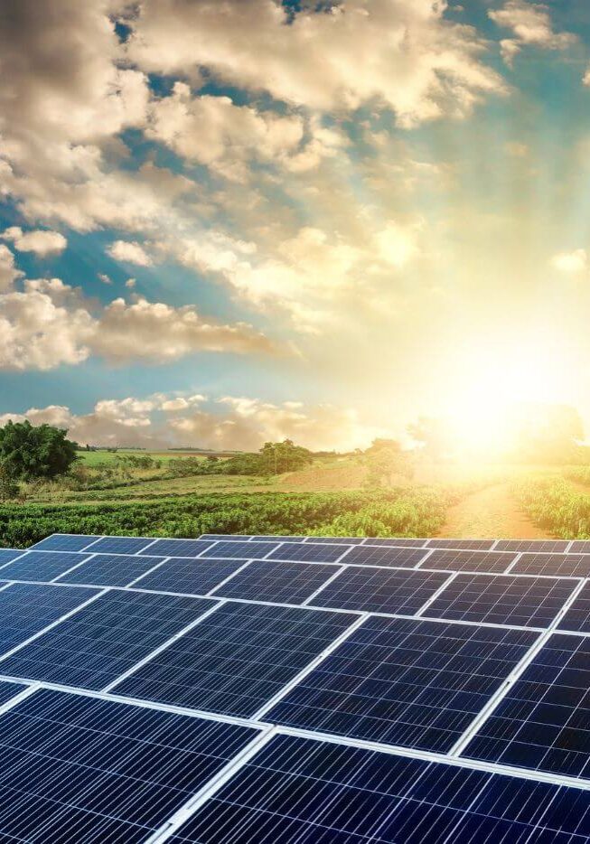 solar panel field with sunset in background